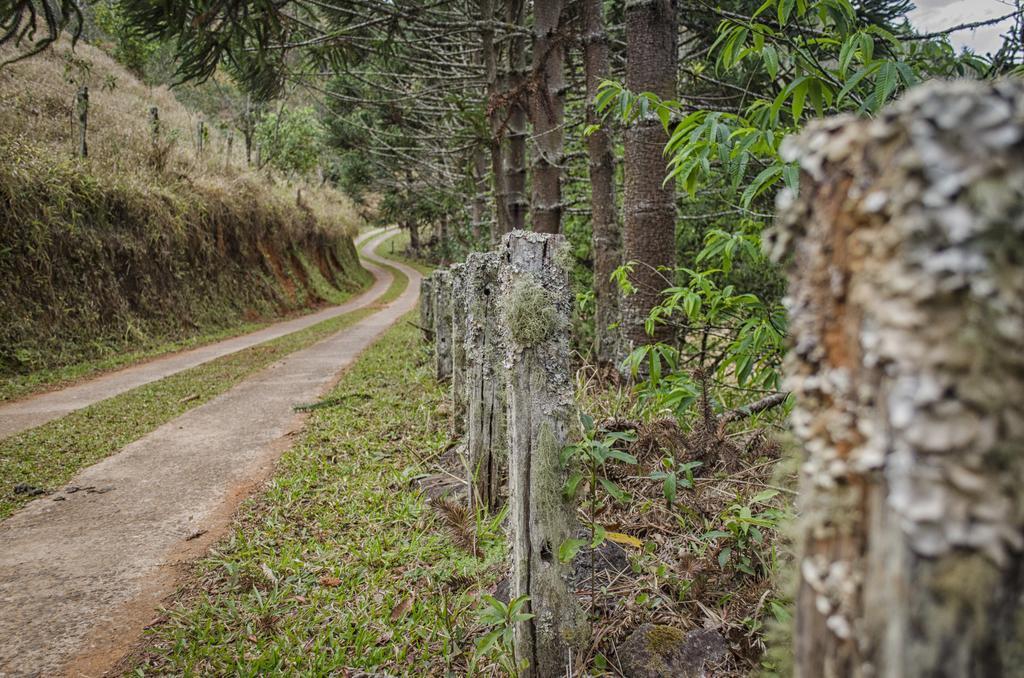 Pousada A Casa Da Fazenda Santo Antônio do Pinhal Esterno foto